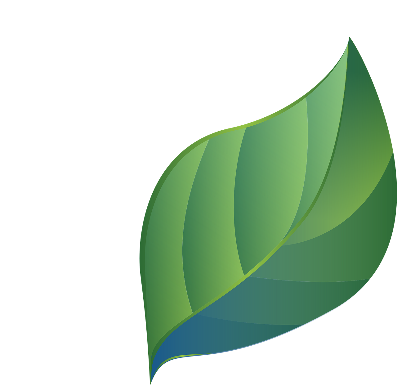 Leaf symbolizing the environment